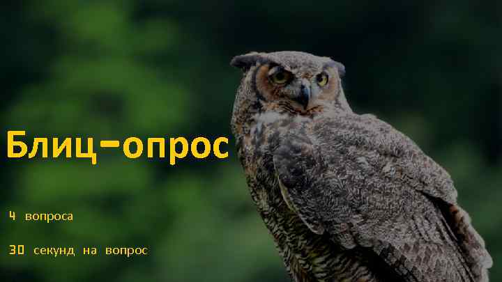 Блиц-опрос 4 вопроса 30 секунд на вопрос 