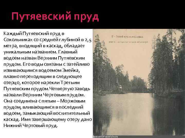 Путяевский пруд Каждый Путяевский пруд в Сокольниках со средней глубиной в 2, 5 метра,