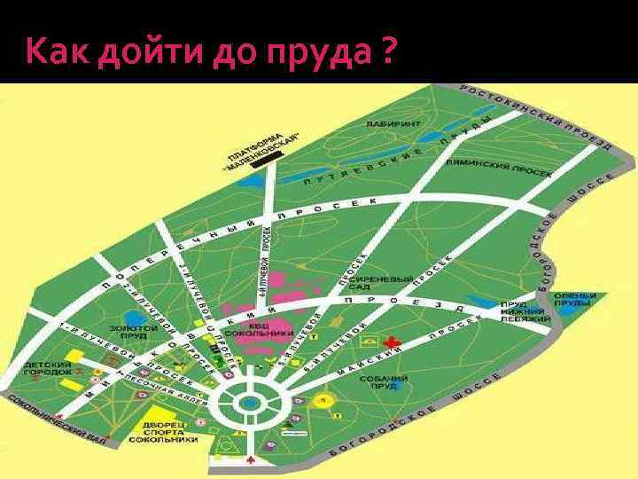 Как дойти до пруда ? 