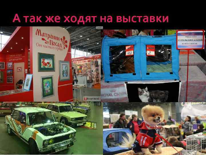 А так же ходят на выставки 