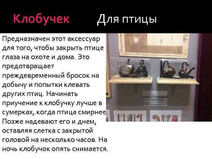 Клобучек Для птицы Предназначен этот аксессуар для того, чтобы закрыть птице глаза на охоте