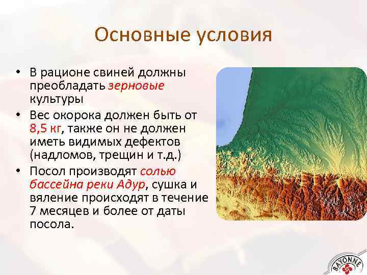 Основные условия • В рационе свиней должны преобладать зерновые культуры • Вес окорока должен