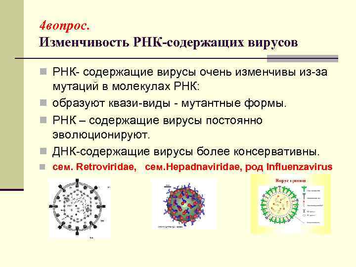 4 вопрос. Изменчивость РНК-содержащих вирусов n РНК- содержащие вирусы очень изменчивы из-за мутаций в