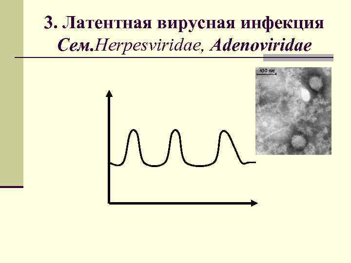 3. Латентная вирусная инфекция Сем. Herpesviridae, Adenoviridae 