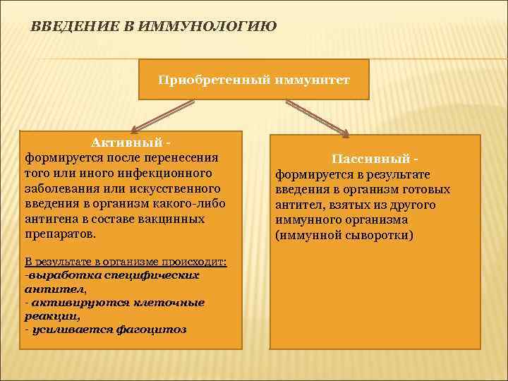 ВВЕДЕНИЕ В ИММУНОЛОГИЮ Приобретенный иммунитет Активный формируется после перенесения того или иного инфекционного заболевания