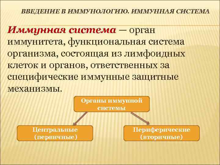 ВВЕДЕНИЕ В ИММУНОЛОГИЮ. ИММУННАЯ СИСТЕМА Иммунная система — орган иммунитета, функциональная система организма, состоящая