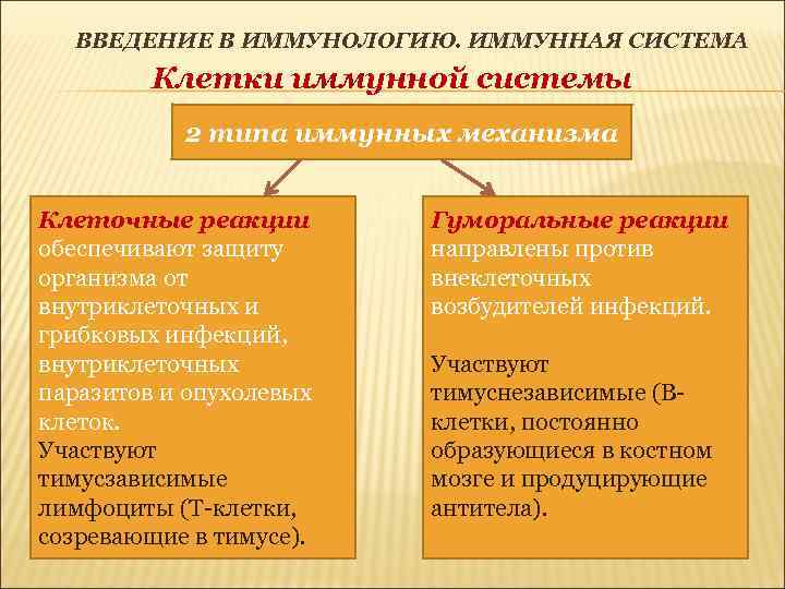 ВВЕДЕНИЕ В ИММУНОЛОГИЮ. ИММУННАЯ СИСТЕМА Клетки иммунной системы 2 типа иммунных механизма Клеточные реакции