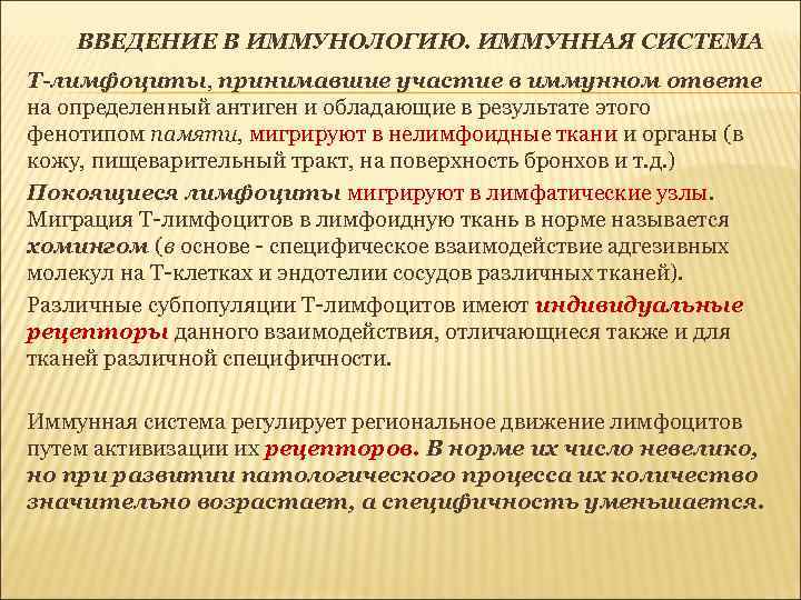 ВВЕДЕНИЕ В ИММУНОЛОГИЮ. ИММУННАЯ СИСТЕМА Т-лимфоциты, принимавшие участие в иммунном ответе на определенный антиген