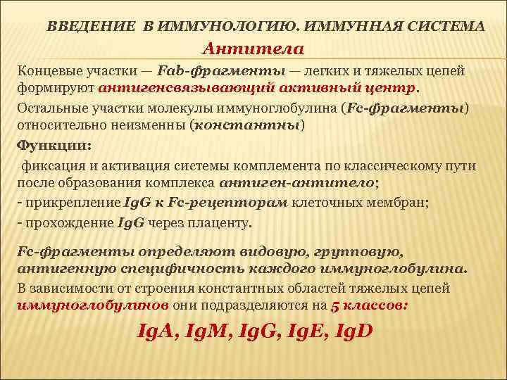 ВВЕДЕНИЕ В ИММУНОЛОГИЮ. ИММУННАЯ СИСТЕМА Антитела Концевые участки — Fab-фрагменты — легких и тяжелых