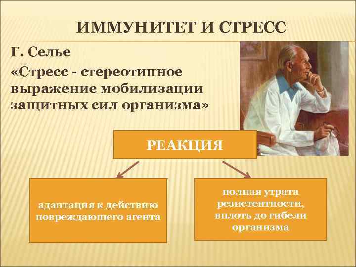 ИММУНИТЕТ И СТРЕСС Г. Селье «Стресс - стереотипное выражение мобилизации защитных сил организма» РЕАКЦИЯ