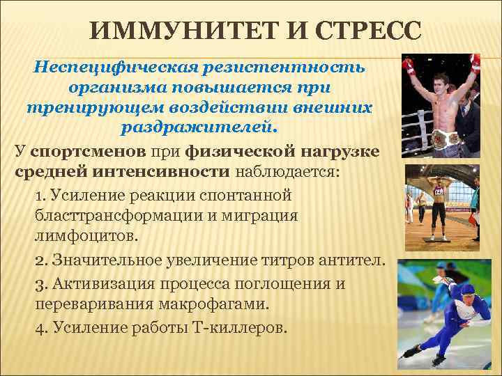 ИММУНИТЕТ И СТРЕСС Неспецифическая резистентность организма повышается при тренирующем воздействии внешних раздражителей. У спортсменов
