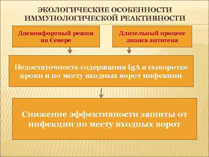 ЭКОЛОГИЧЕСКИЕ ОСОБЕННОСТИ ИММУНОЛОГИЧЕСКОЙ РЕАКТИВНОСТИ Дискомфортный режим на Севере Длительный процесс лизиса антигена Недостаточность содержания
