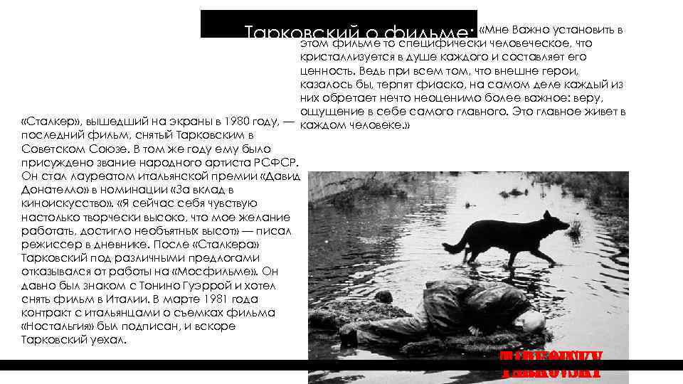 Тарковский о то специфически человеческое, что в фильме: «Мне Важно установить этом фильме кристаллизуется