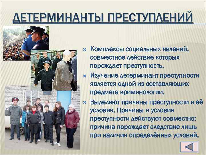 ДЕТЕРМИНАНТЫ ПРЕСТУПЛЕНИЙ Комплексы социальных явлений, совместное действие которых порождает преступность. Изучение детерминант преступности является