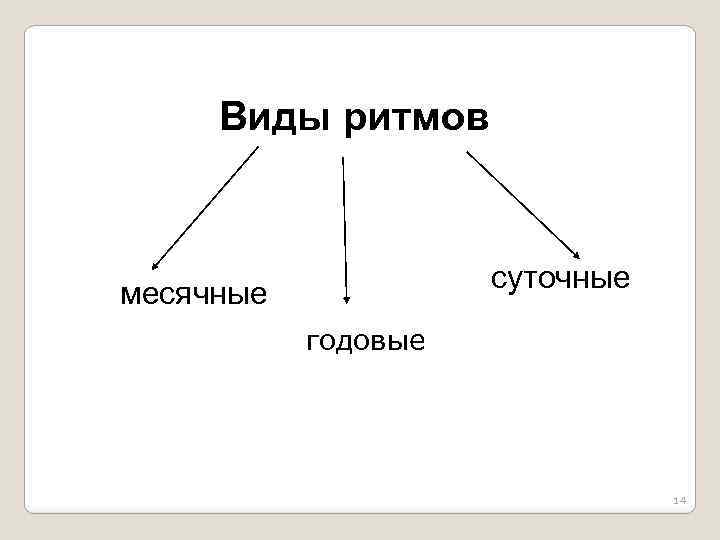 Виды ритмов суточные месячные Г годовые огггчные 14 