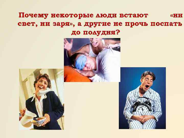 Почему некоторые люди встают «ни свет, ни заря» , а другие не прочь поспать