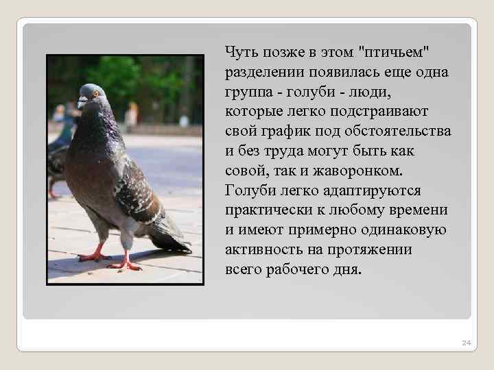 Чуть позже в этом 