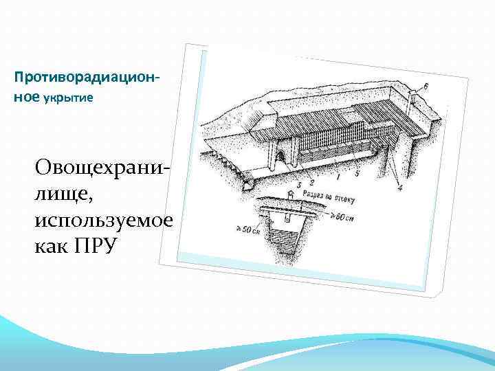 Противорадиационное укрытие Овощехранилище, используемое как ПРУ 