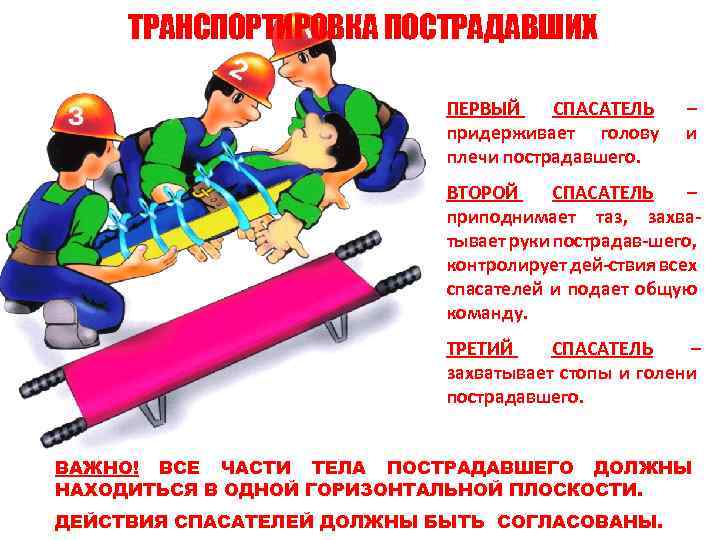 ТРАНСПОРТИРОВКА ПОСТРАДАВШИХ ПЕРВЫЙ СПАСАТЕЛЬ придерживает голову плечи пострадавшего. – и ВТОРОЙ СПАСАТЕЛЬ – приподнимает
