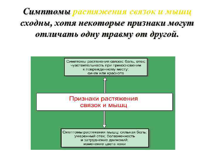 Симптомы растяжения связок и мышц сходны, хотя некоторые признаки могут отличать одну травму от