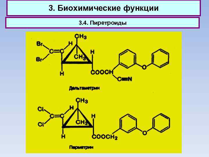 3. Биохимические функции 3. 4. Пиретроиды 