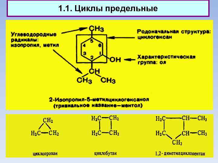 1. 1. Циклы предельные 