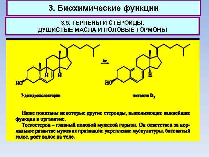 3. Биохимические функции 3. 5. ТЕРПЕНЫ И СТЕРОИДЫ. ДУШИСТЫЕ МАСЛА И ПОЛОВЫЕ ГОРМОНЫ 