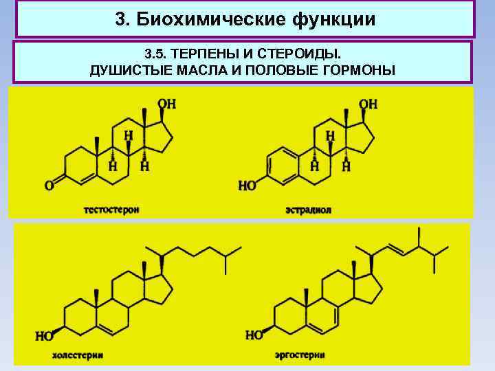 3. Биохимические функции 3. 5. ТЕРПЕНЫ И СТЕРОИДЫ. ДУШИСТЫЕ МАСЛА И ПОЛОВЫЕ ГОРМОНЫ 