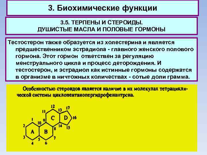 3. Биохимические функции 3. 5. ТЕРПЕНЫ И СТЕРОИДЫ. ДУШИСТЫЕ МАСЛА И ПОЛОВЫЕ ГОРМОНЫ Тестостерон