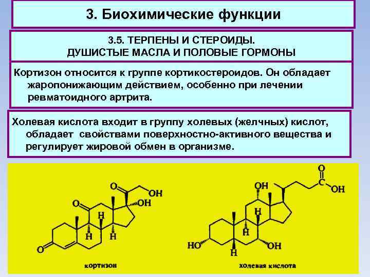 3. Биохимические функции 3. 5. ТЕРПЕНЫ И СТЕРОИДЫ. ДУШИСТЫЕ МАСЛА И ПОЛОВЫЕ ГОРМОНЫ Кортизон