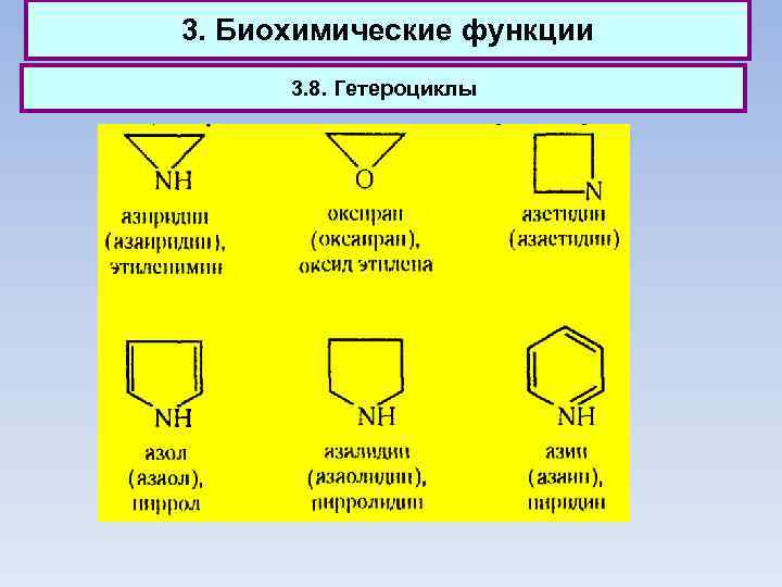 3. Биохимические функции 3. 8. Гетероциклы 