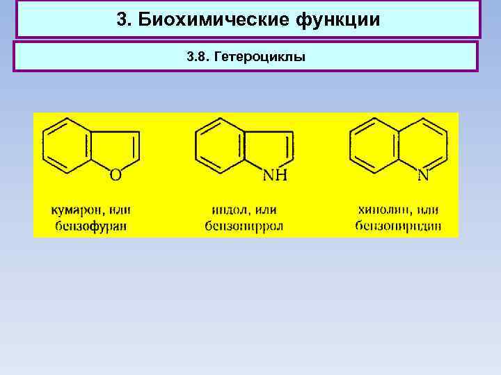 3. Биохимические функции 3. 8. Гетероциклы 