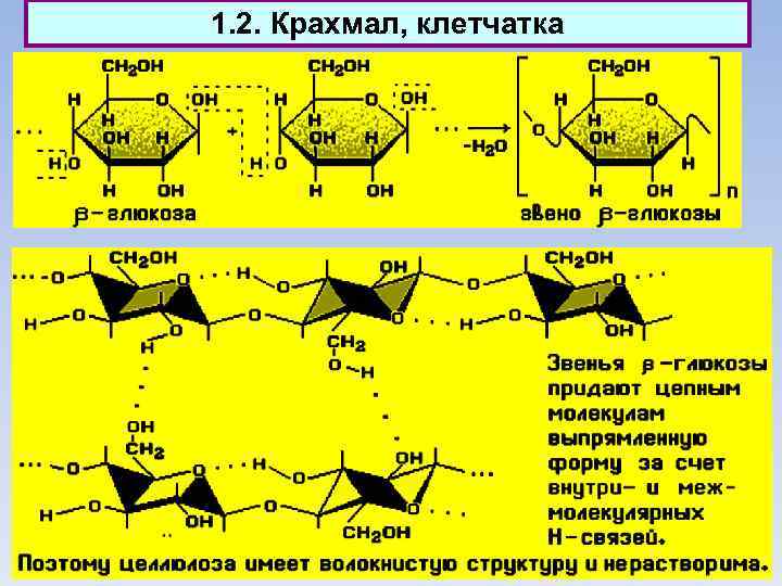 1. 2. Крахмал, клетчатка 