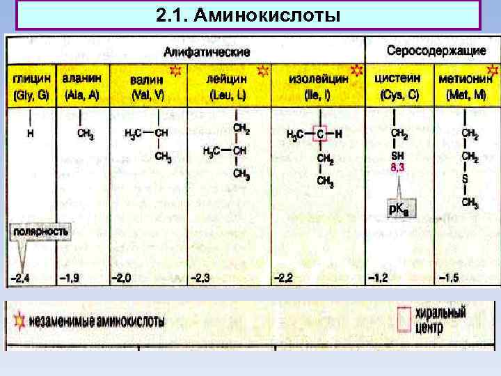 2. 1. Аминокислоты 