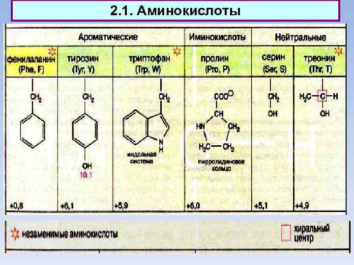 2. 1. Аминокислоты 