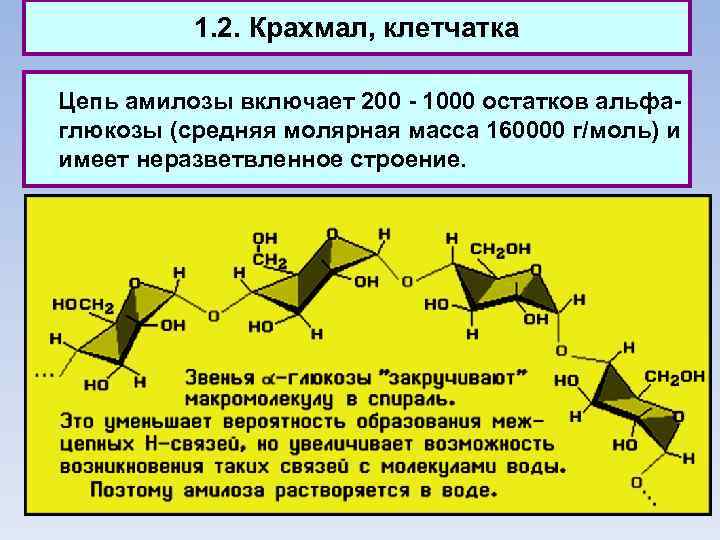 1. 2. Крахмал, клетчатка Цепь амилозы включает 200 - 1000 остатков альфа- глюкозы (средняя