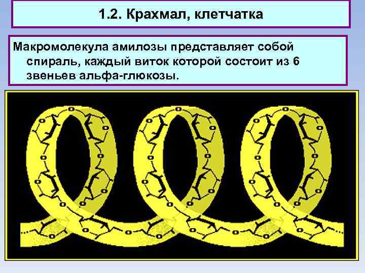 1. 2. Крахмал, клетчатка Макромолекула амилозы представляет собой спираль, каждый виток которой состоит из