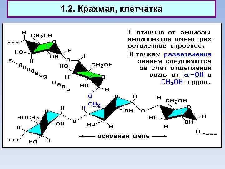 1. 2. Крахмал, клетчатка 