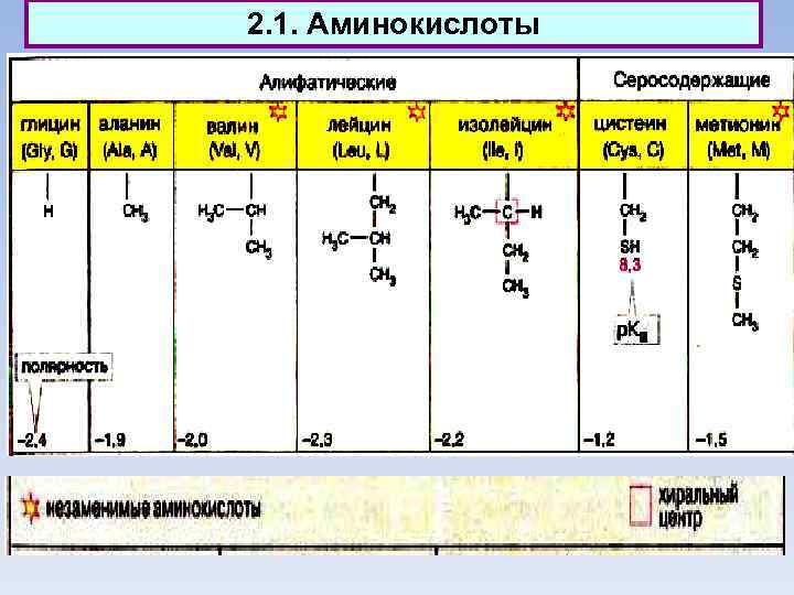 2. 1. Аминокислоты 