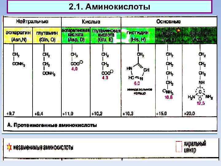 2. 1. Аминокислоты 