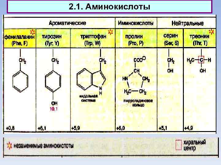 2. 1. Аминокислоты 