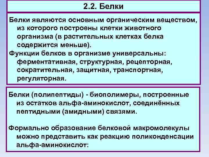 2. 2. Белки являются основным органическим веществом, из которого построены клетки животного организма (в