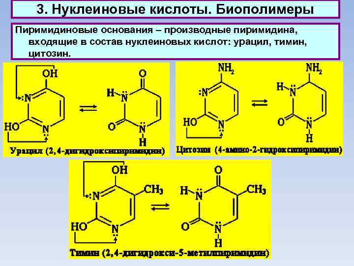 3. Нуклеиновые кислоты. Биополимеры Пиримидиновые основания – производные пиримидина, входящие в состав нуклеиновых кислот: