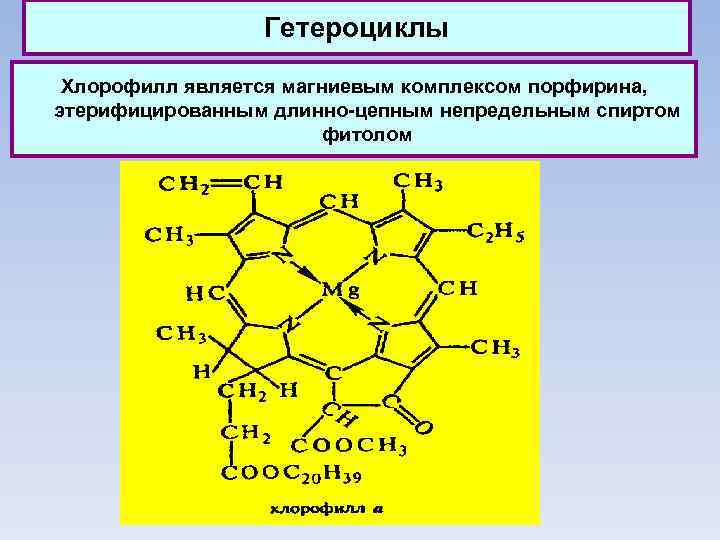 Гетероциклы Хлорофилл является магниевым комплексом порфирина, этерифицированным длинно-цепным непредельным спиртом фитолом 