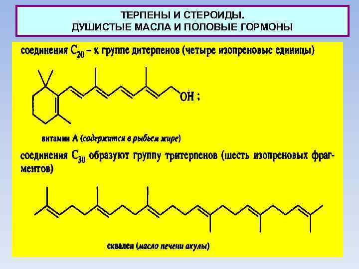 ТЕРПЕНЫ И СТЕРОИДЫ. ДУШИСТЫЕ МАСЛА И ПОЛОВЫЕ ГОРМОНЫ 