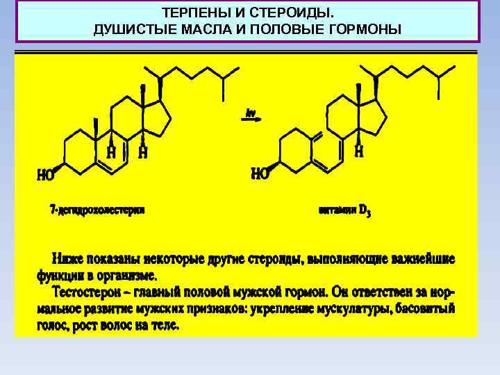 ТЕРПЕНЫ И СТЕРОИДЫ. ДУШИСТЫЕ МАСЛА И ПОЛОВЫЕ ГОРМОНЫ 