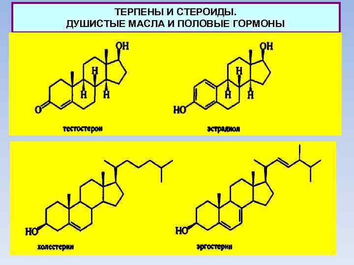 ТЕРПЕНЫ И СТЕРОИДЫ. ДУШИСТЫЕ МАСЛА И ПОЛОВЫЕ ГОРМОНЫ 