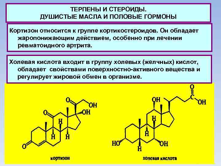 ТЕРПЕНЫ И СТЕРОИДЫ. ДУШИСТЫЕ МАСЛА И ПОЛОВЫЕ ГОРМОНЫ Кортизон относится к группе кортикостероидов. Он