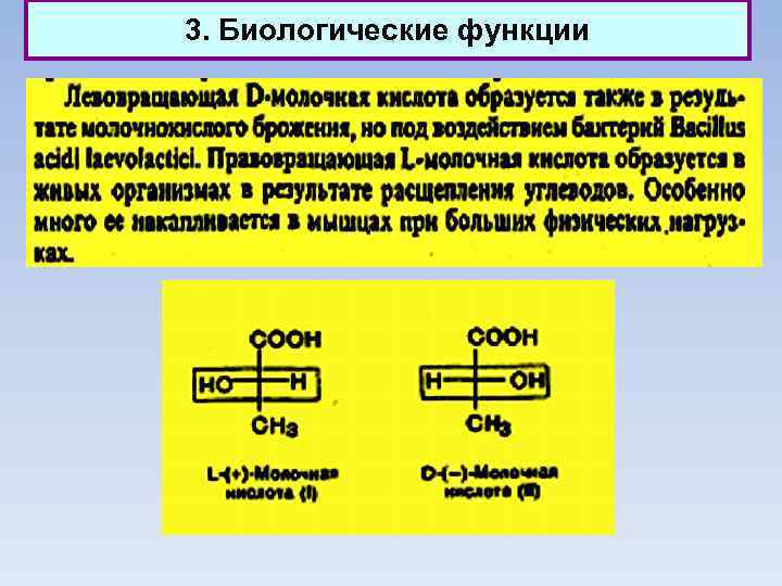 3. Биологические функции 