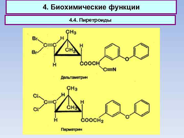 4. Биохимические функции 4. 4. Пиретроиды 